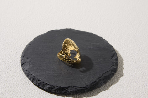 Pluto Fragment Ring Gold